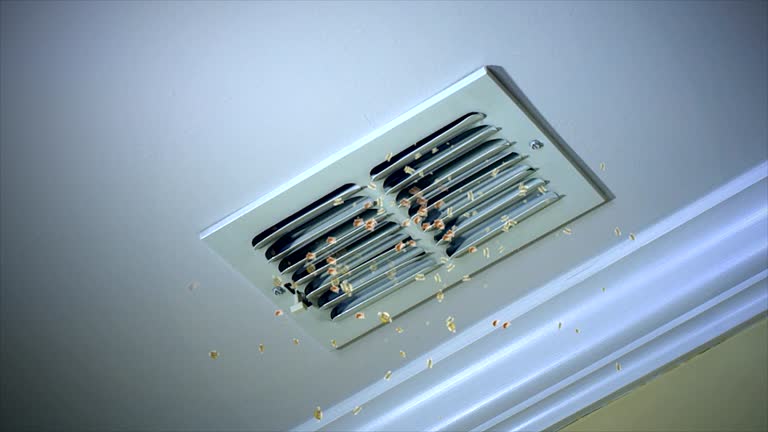 Best HVAC Maintenance and Cleaning  in El Macero, CA
